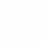White Paint Logo